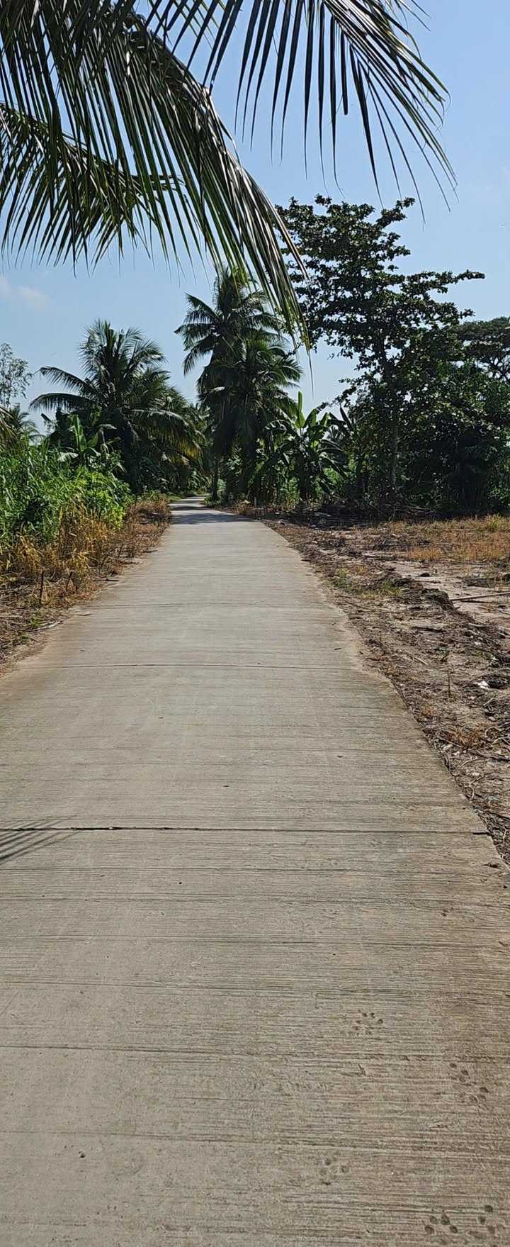 Đất mặt tiền xã Tài Văn, Trần Đề, Sóc Trăng - 1000m² giá chỉ 550 triệu - Cơ hội đầu tư tuyệt vời!