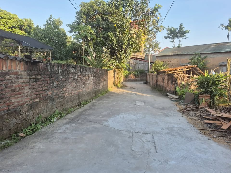 Đất Cẩm Xá Mỹ Hào 70m² giá 1.15 tỷ - Cơ hội đầu tư tuyệt vời!