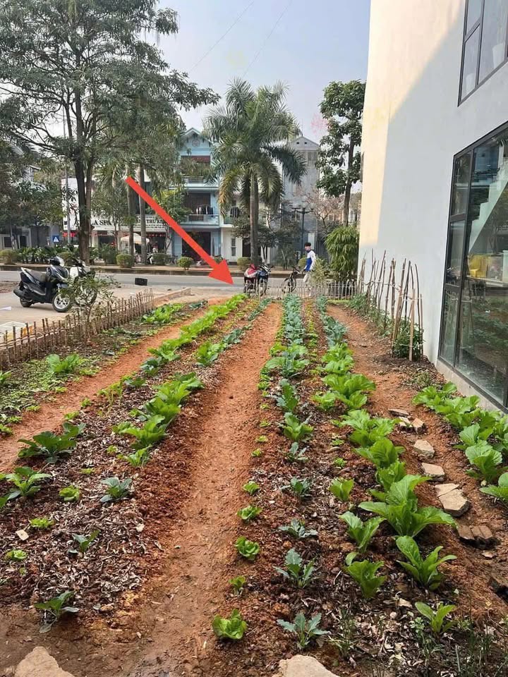 Đất giãn dân Yên Nghĩa 50m² giá 2.03 tỷ - Sổ đỏ chính chủ, bán gấp!