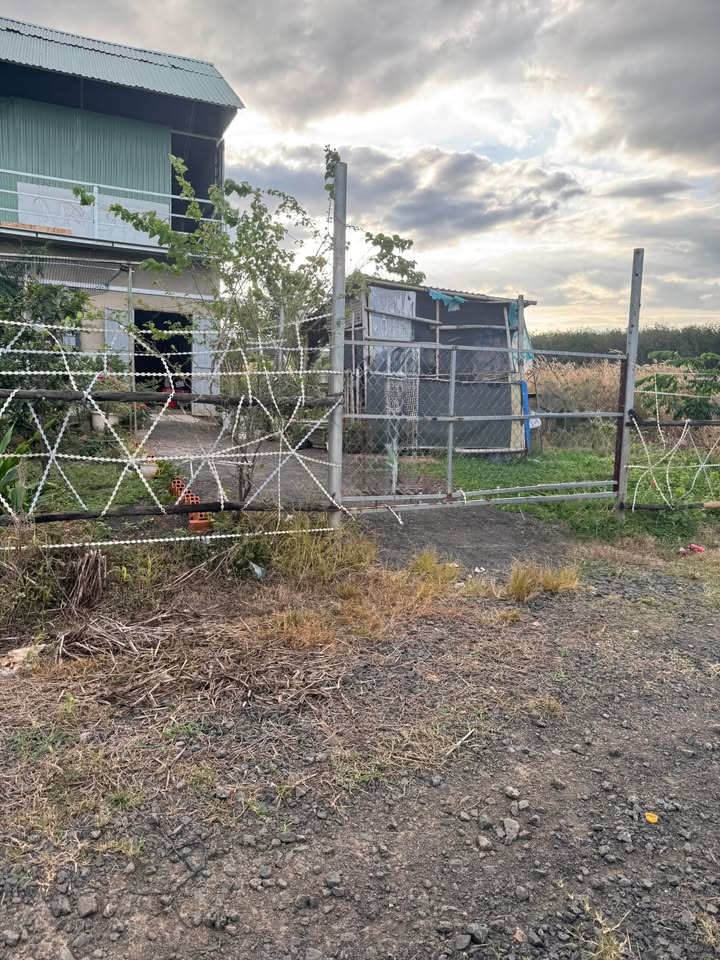 Đất nền Tân Hưng, Đồng Phú 1.600m² giá 700 triệu - Cơ hội đầu tư hấp dẫn!