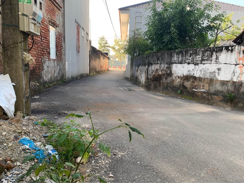 Đất nền Minh Châu, Ba Vì 100m² giá 2 tỷ - Đường mới ô tô vào tận nơi!