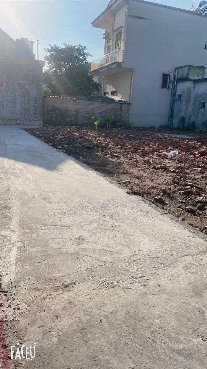 Đất thổ cư thôn Thanh Trai, Minh Lãng, Vũ Thư 50m² giá 300 triệu - Cơ hội đầu tư hấp dẫn!