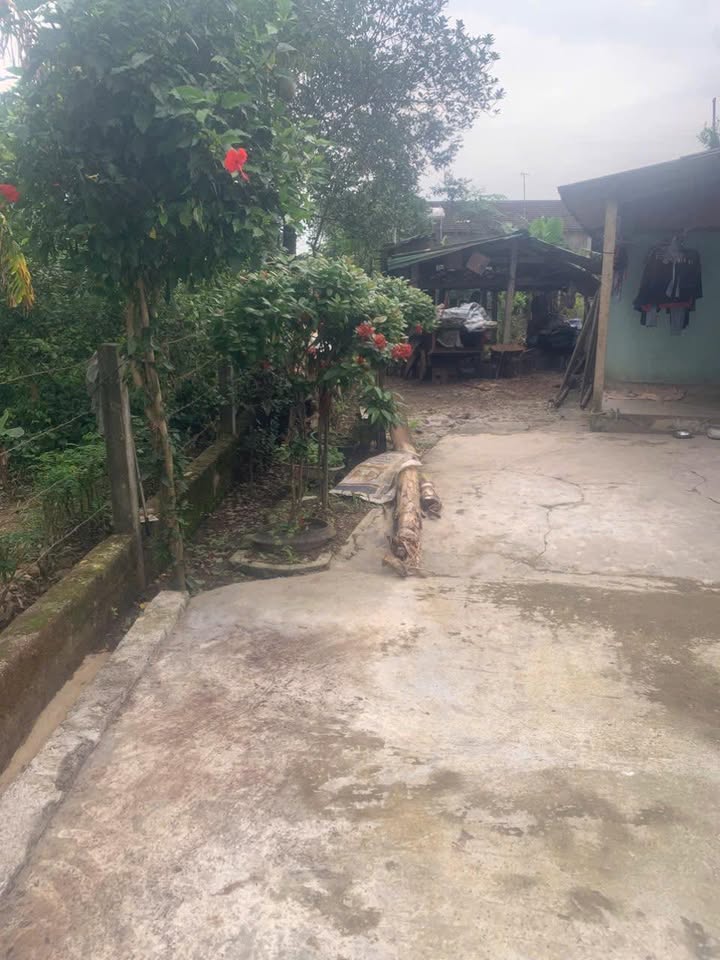 Đất nền mặt đường tỉnh lộ 553 Hương Khê 168m² giá chỉ 1.65 tỷ - Cơ hội đầu tư không thể bỏ qua!