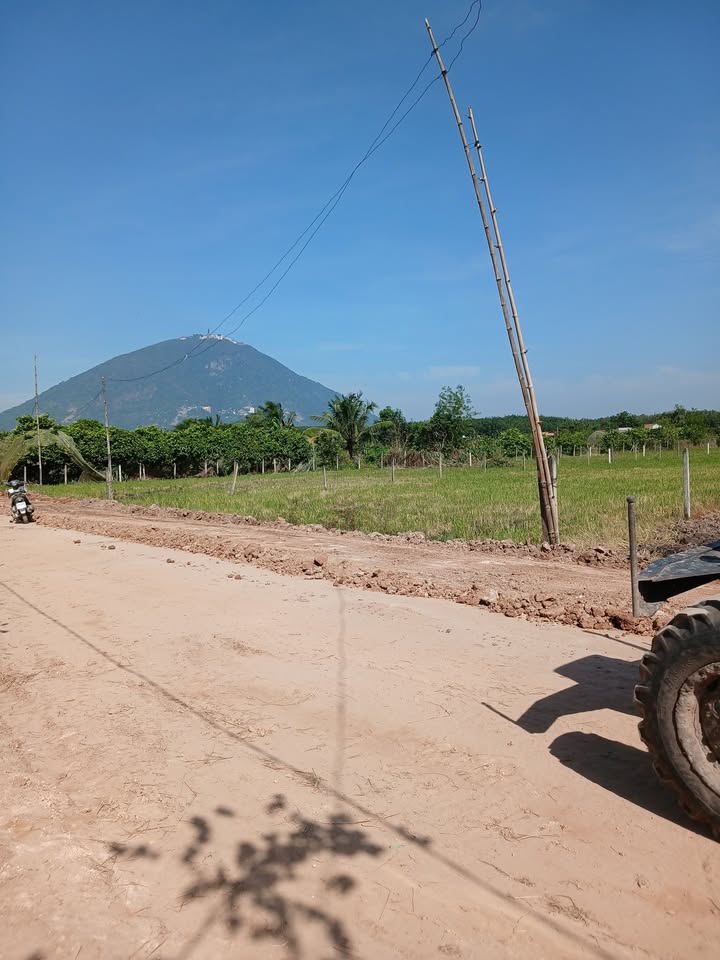 Đất nền Phan Dương Minh Châu 1000m² giá 550 triệu - View đẹp, đường nhựa sắp hoàn thành!