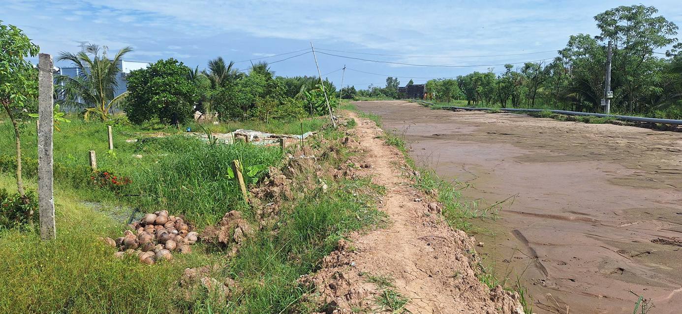 Đất nền Phước Trung Gò Công Đông 256m² giá 530 triệu - Sổ hồng chính chủ!