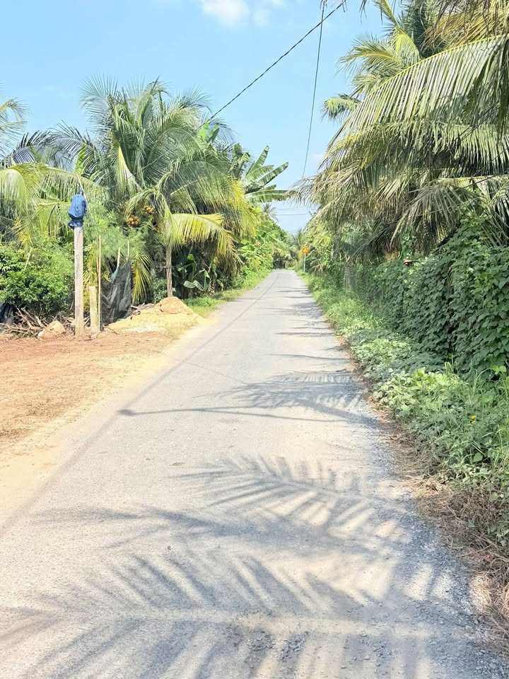 Đất nền Hòa Định, Chợ Gạo, 1095m² - Đầu tư sinh lời ngay!