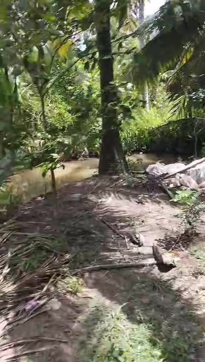 Đất Lương Hòa Giồng Trôm Bến Tre 808m² giá chỉ 500 triệu - Sổ đỏ chính chủ!