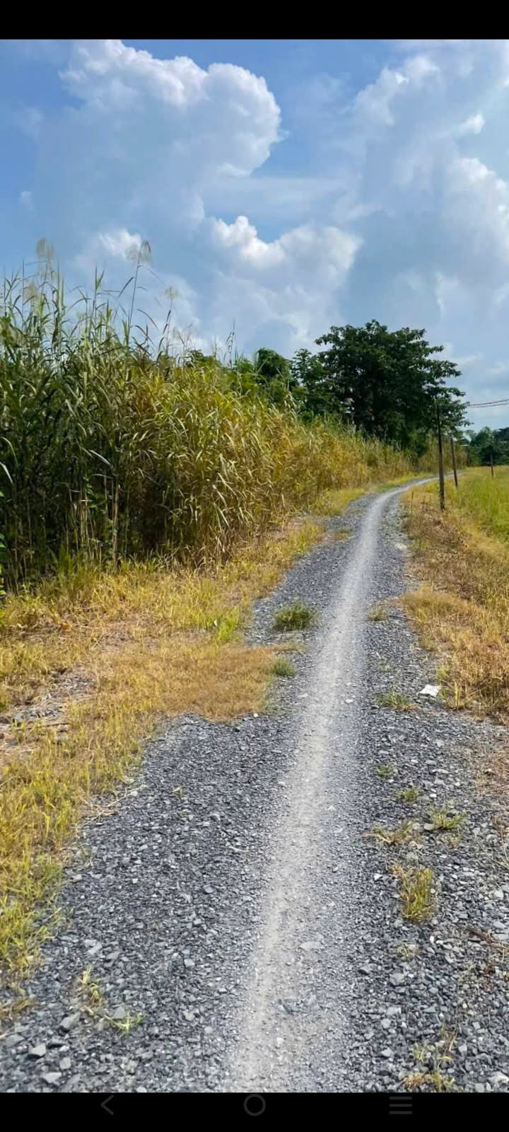 Đất nền Bình Thành, Đồng Tháp 6.6 công giá 190 triệu - Tiềm năng phát triển lớn!