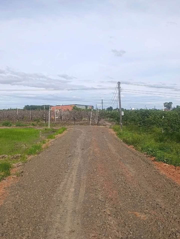 Đất nở hậu 1100m² Bình Minh Tây Ninh giá 330 triệu - Cơ hội đầu tư hấp dẫn!