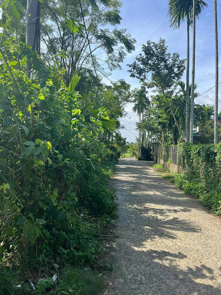 Đất vườn xã Vệ Giang, Nghĩa Hành 676m² giá 1.1 tỷ - Lý tưởng cho nghỉ dưỡng!