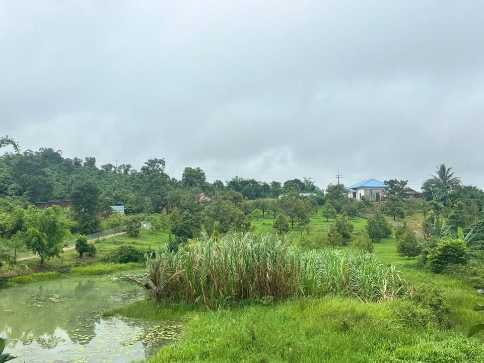 Đất nền 25200m² tại Đắk Nia, Gia Nghĩa chỉ 2.5 tỷ - Cơ hội đầu tư tuyệt vời!