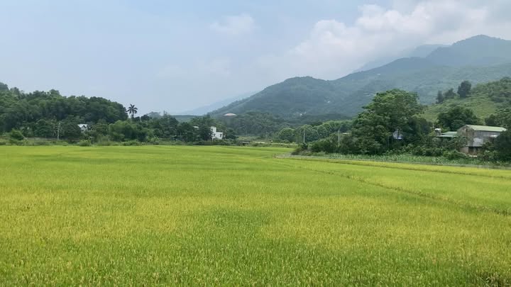 Đất lô góc Tỉnh lộ 446, Yên Trung 360m² giá 7 tỷ - Đón đầu sóng Metro!