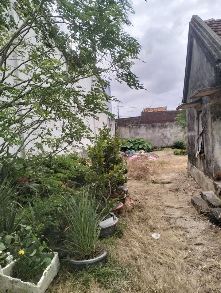 Đất nền đường Nguyễn Văn Trỗi, phường Phú Lâm 105m² giá 1.4 tỷ - Đầu tư sinh lời ngay!