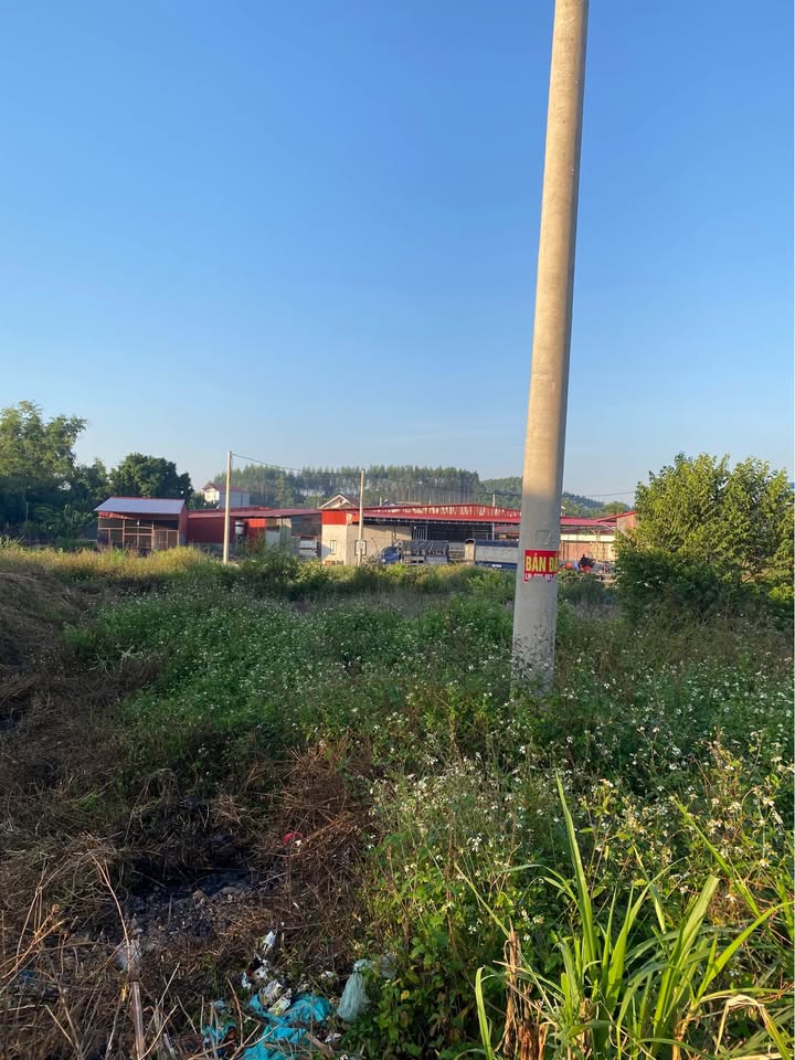 Đất nền mặt Quốc lộ 17, diện tích 114m², giá thỏa thuận - Cơ hội đầu tư hấp dẫn!