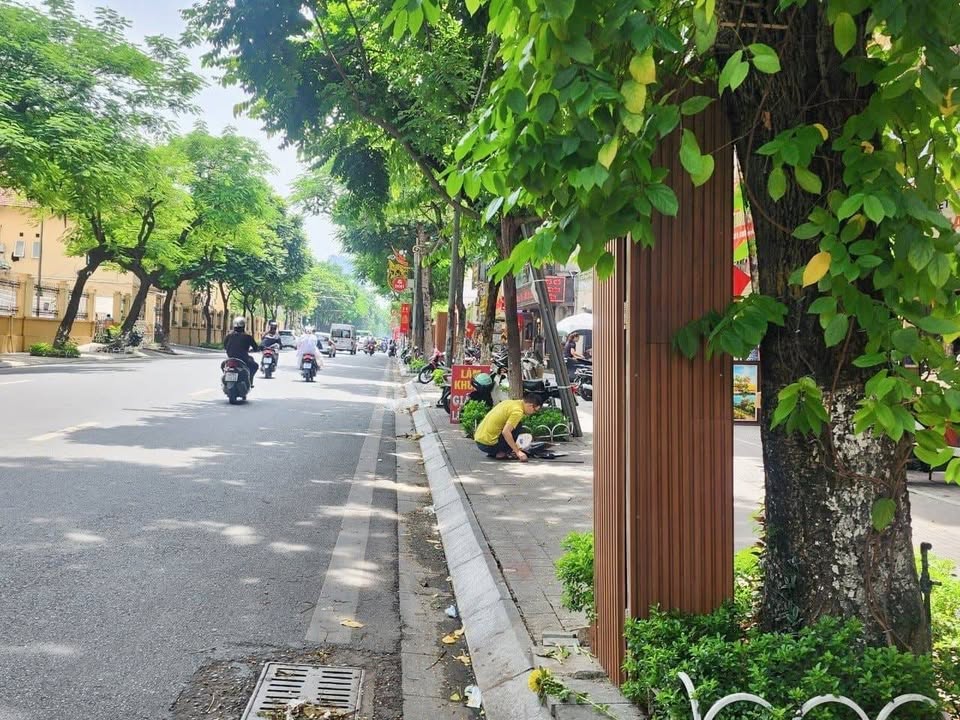 Nhà mặt phố Nguyễn Thái Học quận Ba Đình 66m² giá 26 tỷ - Lô góc kinh doanh sầm uất!