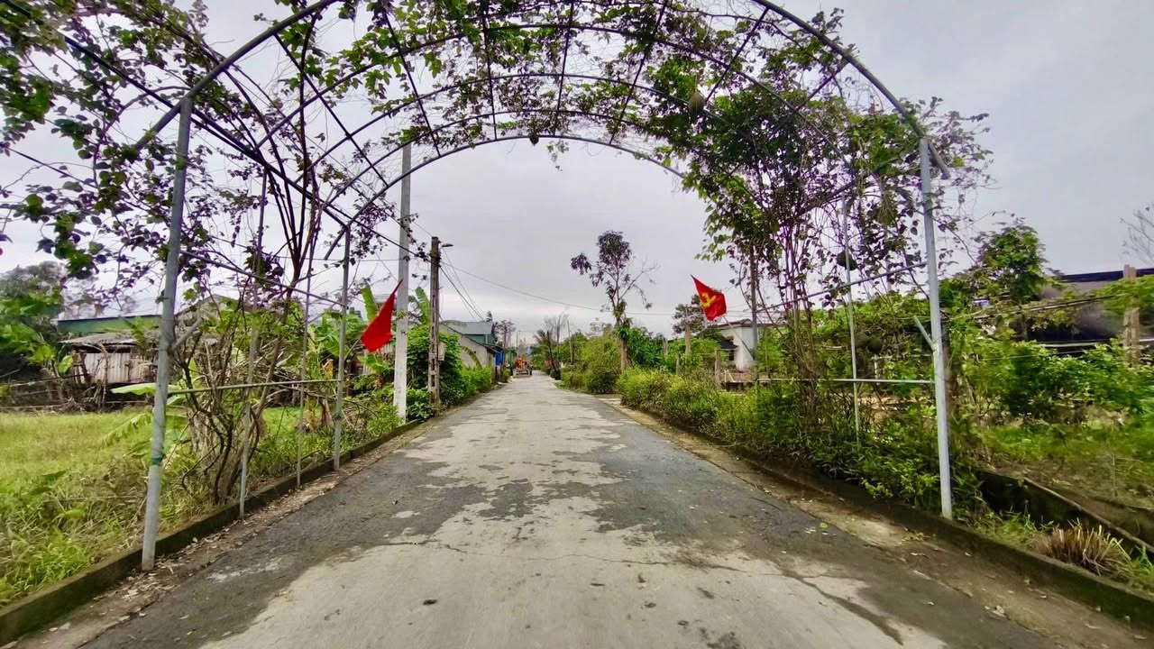 Đất nền Văn Minh, Tân Lâm Hương 150m² giá 1.7 tỷ - Đường thảm rộng 8m!