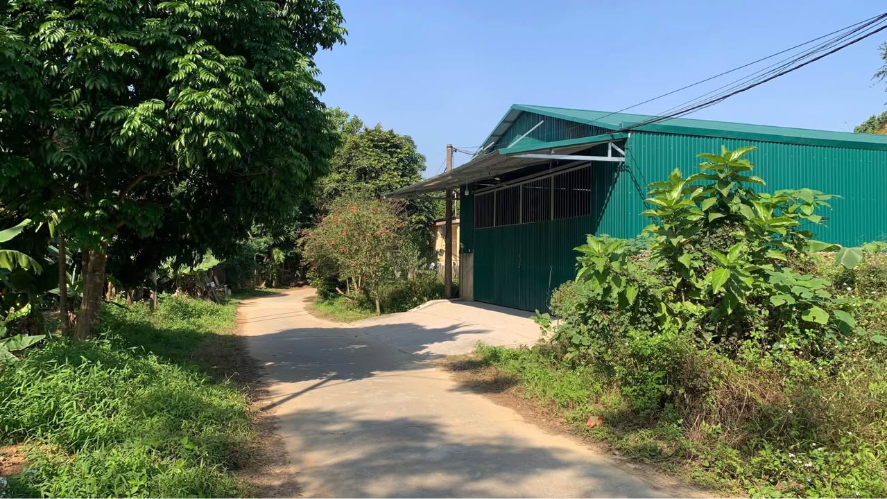 Đất nền phường Nam Cường Yên Bái 160m² giá chỉ 1 tỷ - Cơ hội đầu tư tuyệt vời!