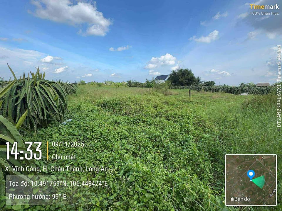 Đất trồng lúa 1500m² xã Vĩnh Công chỉ 500 triệu - Sổ hồng riêng chính chủ!