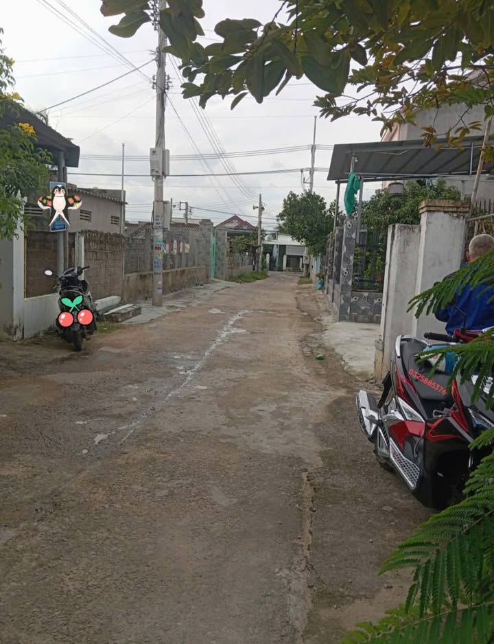 Đất Tri Hải Ninh Thuận 360m² giá 1.8 tỷ - Nhà cấp 4 chính chủ!