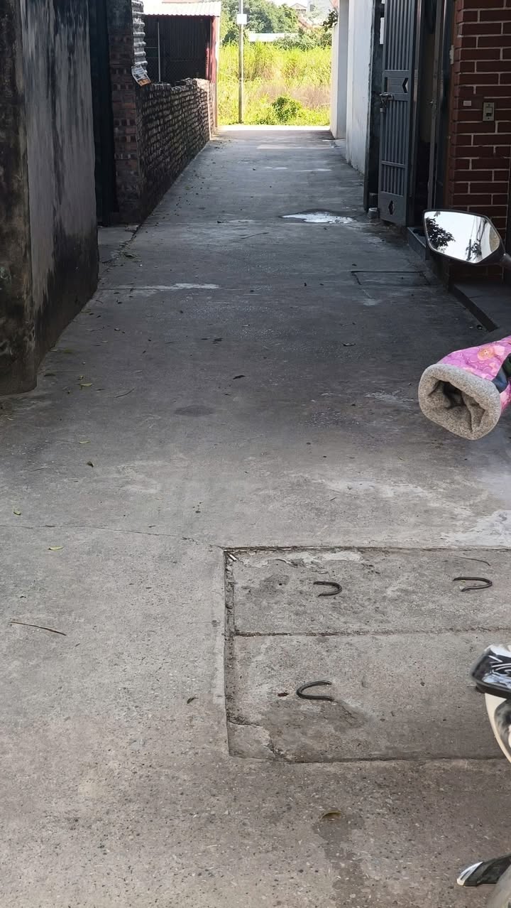 Đất chính chủ Đặng Xá Gia Lâm 52m² - Đầu tư sinh lời ngay!