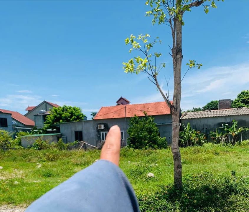 Đất kinh doanh đường Trương Văn Lĩnh, Nghi Phú 139m² giá 5.9 tỷ - Vị trí đắc địa!