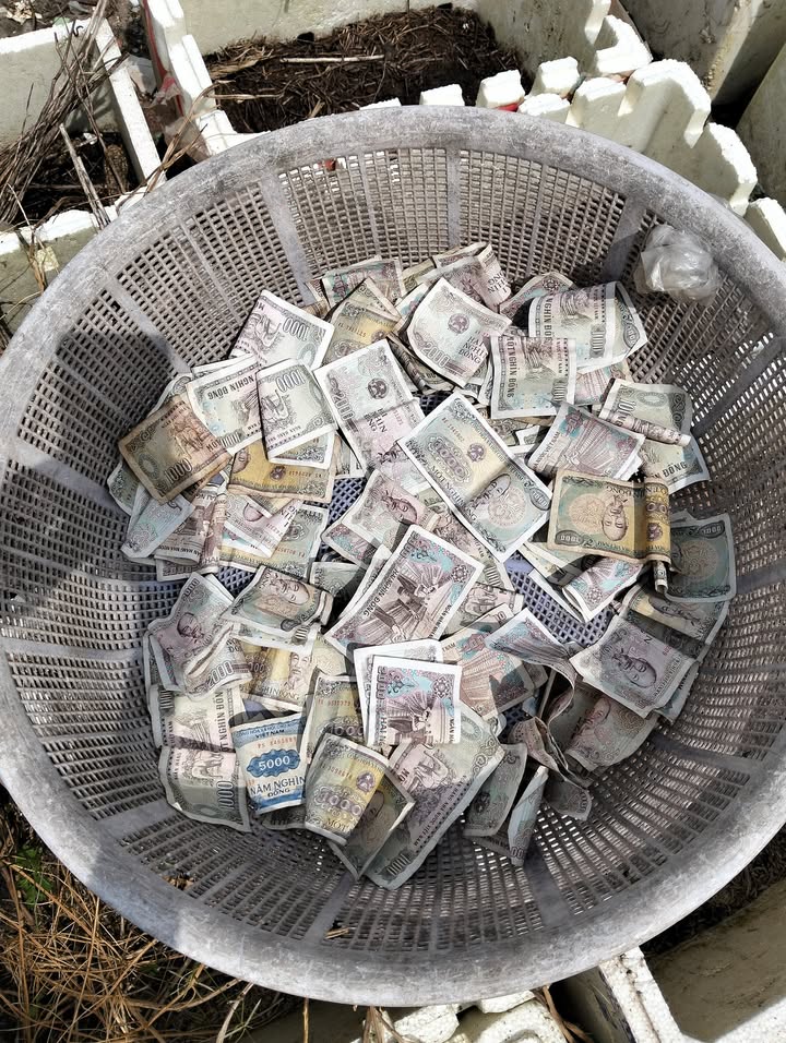 Nhà đất Mỹ Xuân, Phú Mỹ 100m² giá 799 triệu - Cơ hội đầu tư tuyệt vời!