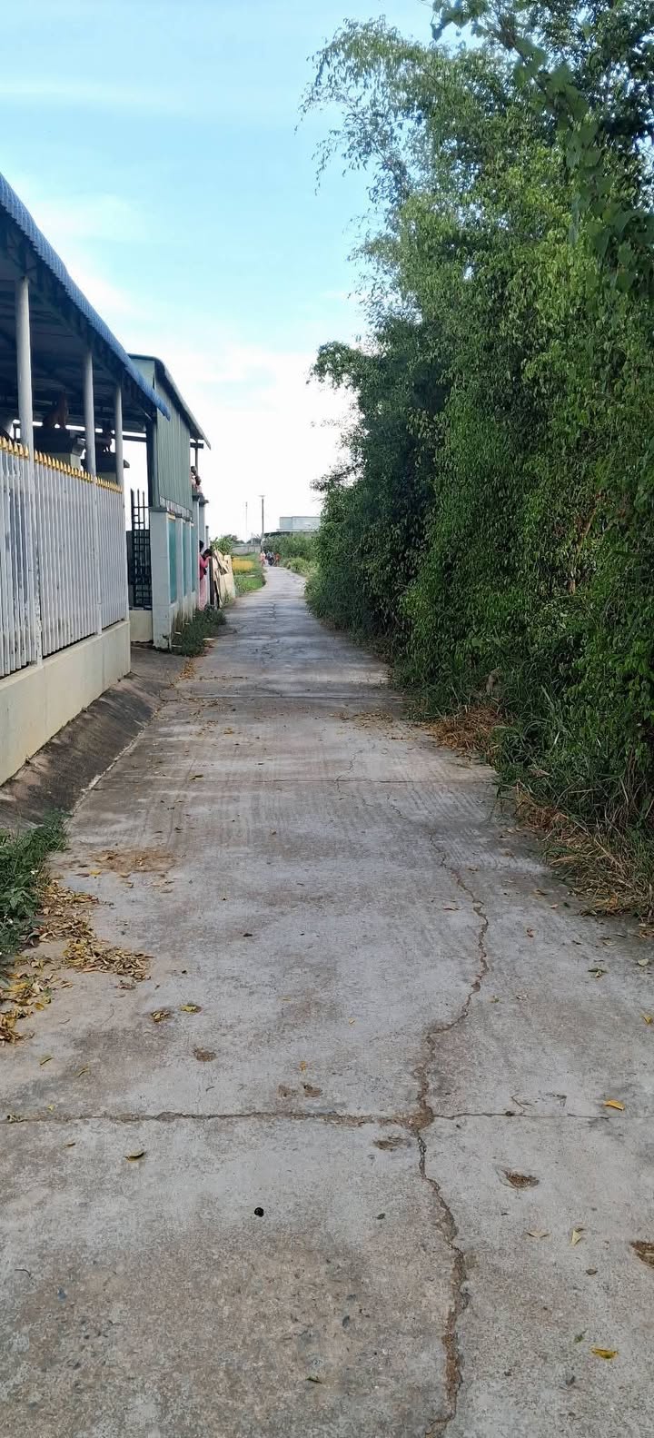 Đất thổ cư 20160m² phường Hàm Thắng - Mặt tiền đường ô tô, giá thương lượng!