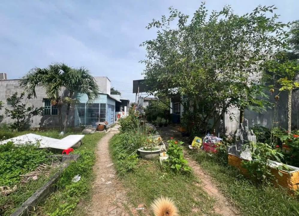 Đất nền 200m² Phong Nẫm - Phan Thiết, giá 799 triệu - Sổ đỏ chính chủ