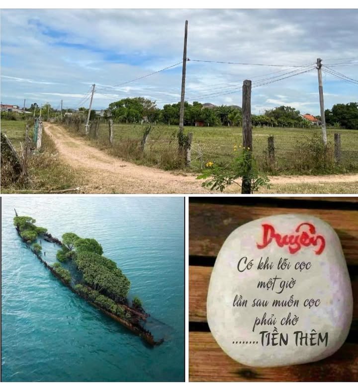 Đất cây trồng lâu năm tại xã Hồng Liêm 8925m² - Hai mặt đường ô tô vào tận nơi!