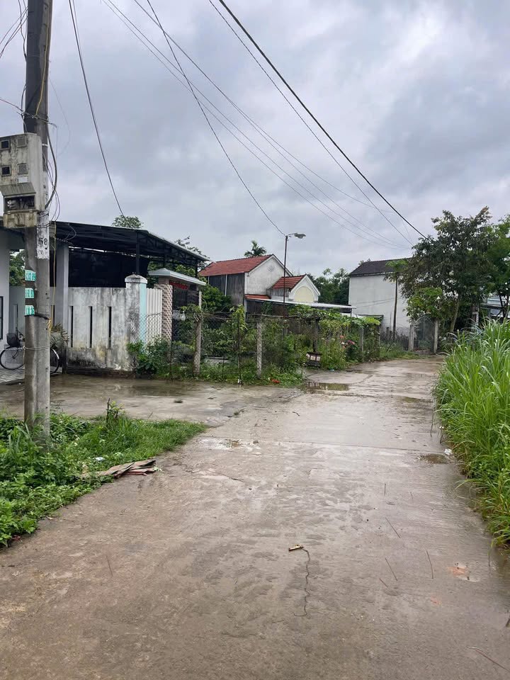 Đất thổ cư Tam Ngọc 224m² giá chỉ 700 triệu - Đường nhựa gần kề!