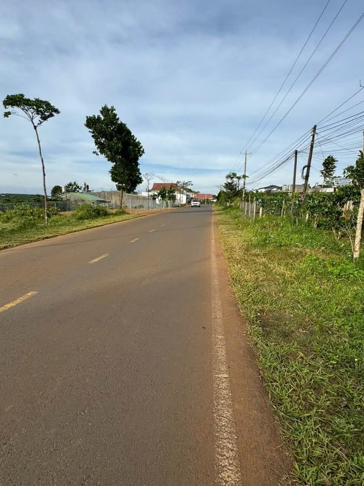 Đất nền mặt tiền Lý Thường Kiệt Bảo Lộc 1615m² giá 400 triệu - Đầu tư sinh lời ngay!