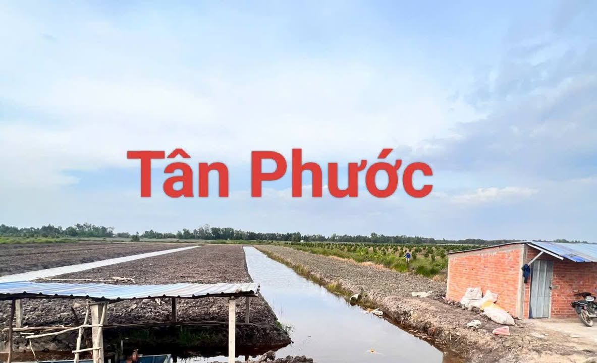 Đất nông nghiệp Tân Phước, Tiền Giang 30.000m² giá 4.8 tỷ - Pháp lý rõ ràng, thương lượng chính chủ!