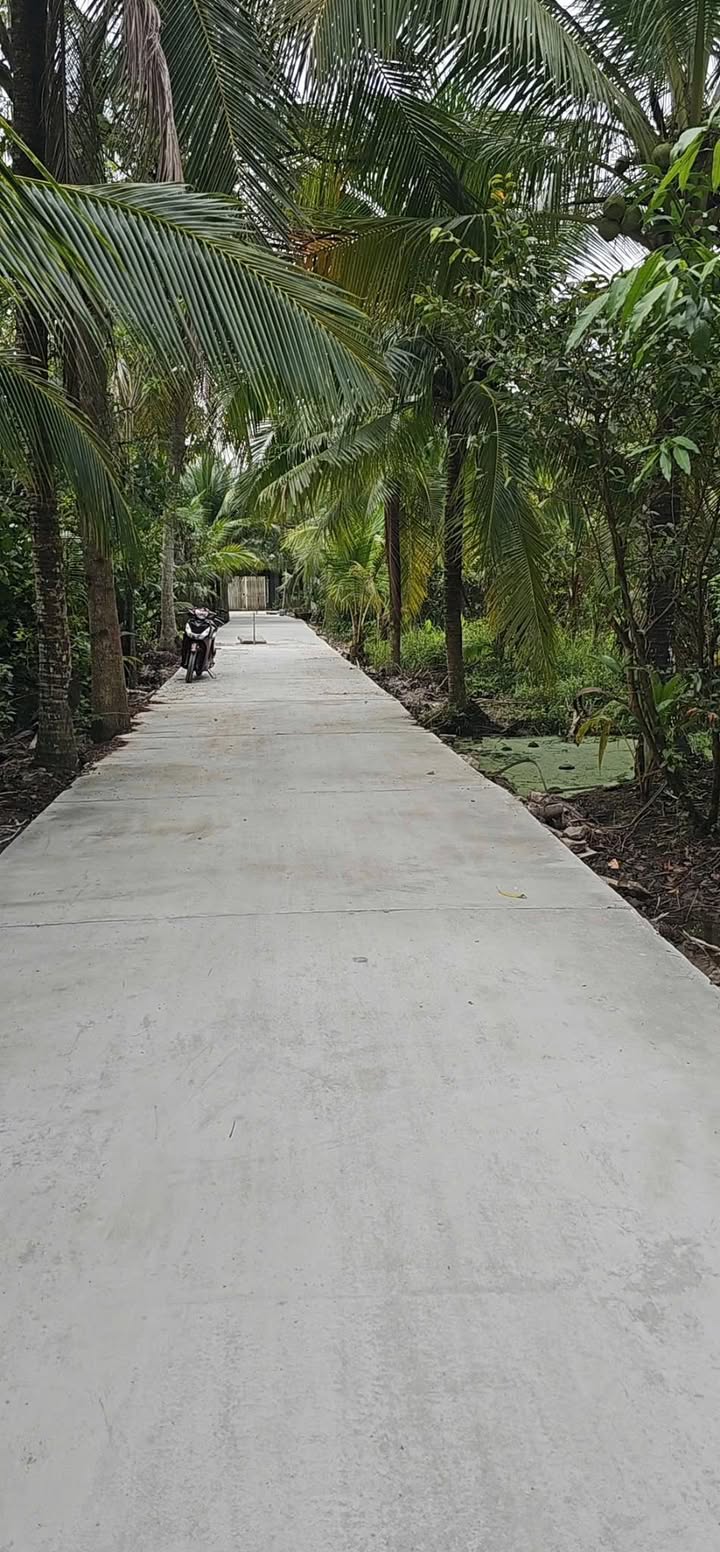 Đất nền giá tốt tại Phước Thạnh, Trung An - 450 triệu/nền, đầu tư sinh lời ngay!