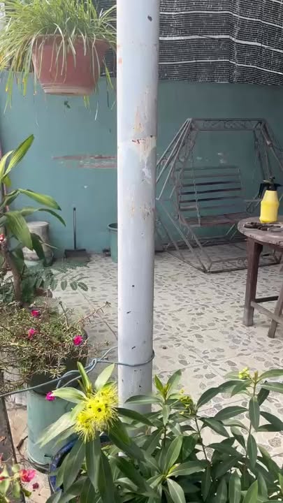 Nhà riêng 360m² ấp Hòa Phúc, Tiền Giang giá 1.9 tỷ - Sẵn sàng vào ở ngay!