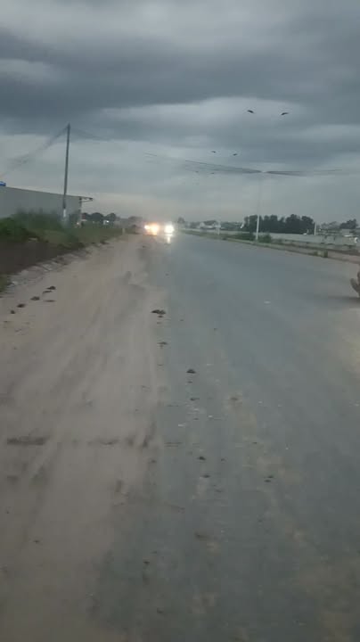 Đất nền 240m² tại ấp Bình Hữu 1, Đức Hòa - Giá chỉ 2.5 tỷ, bán gấp!