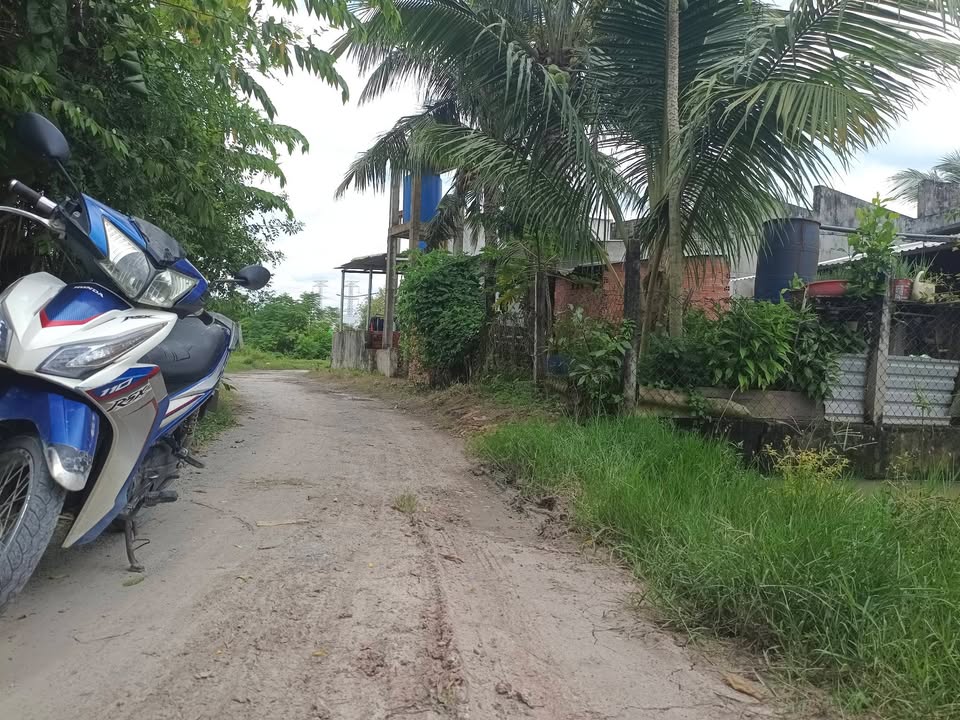 Đất thổ cư ấp Bình Hữu 1, xã Đức Hòa Thượng, 190m² chỉ 1.35 tỷ - Sổ hồng riêng chính chủ!