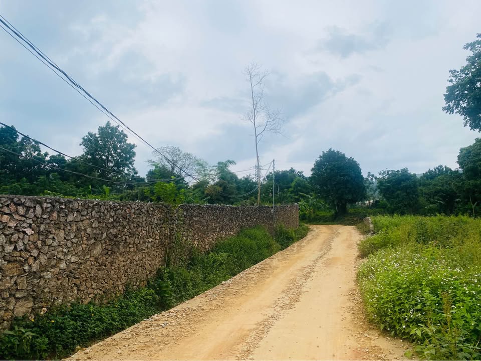 Đất nền Liên Sơn Hòa Bình 3000m² giá thỏa thuận - View đẹp, đầu tư sinh lời!