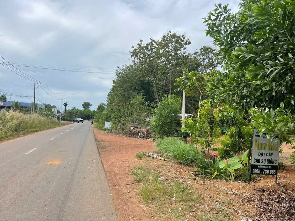 Đất nền Tân Hưng, Đồng Phú 300m² giá 4 tỷ - Vị trí đắc địa gần ủy ban!