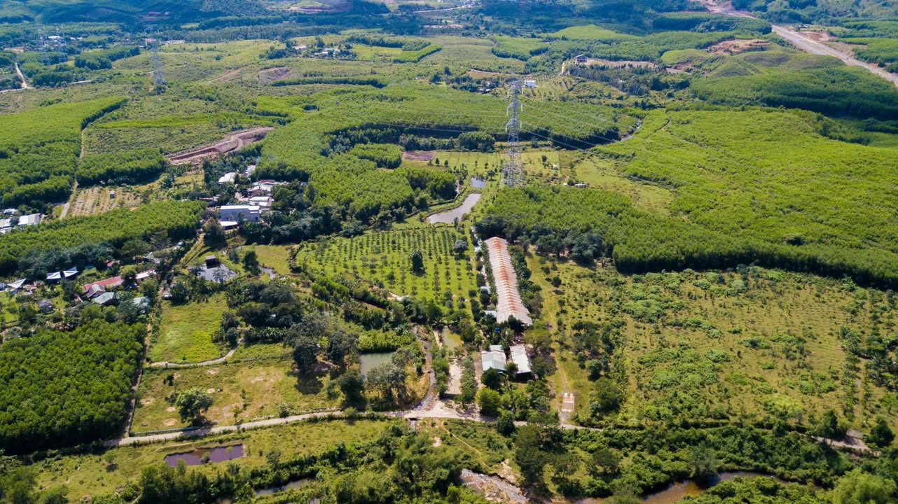 Farm 4600m² Hòa Ninh Đà Nẵng giá 4 tỷ - Tiềm năng đầu tư lớn!