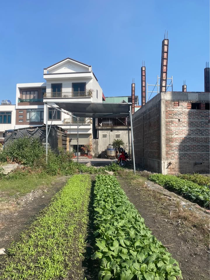 Đất nền Cẩm Bình 74.5m² giá 2.1 tỷ - Ô góc 2 mặt tiền đẹp!