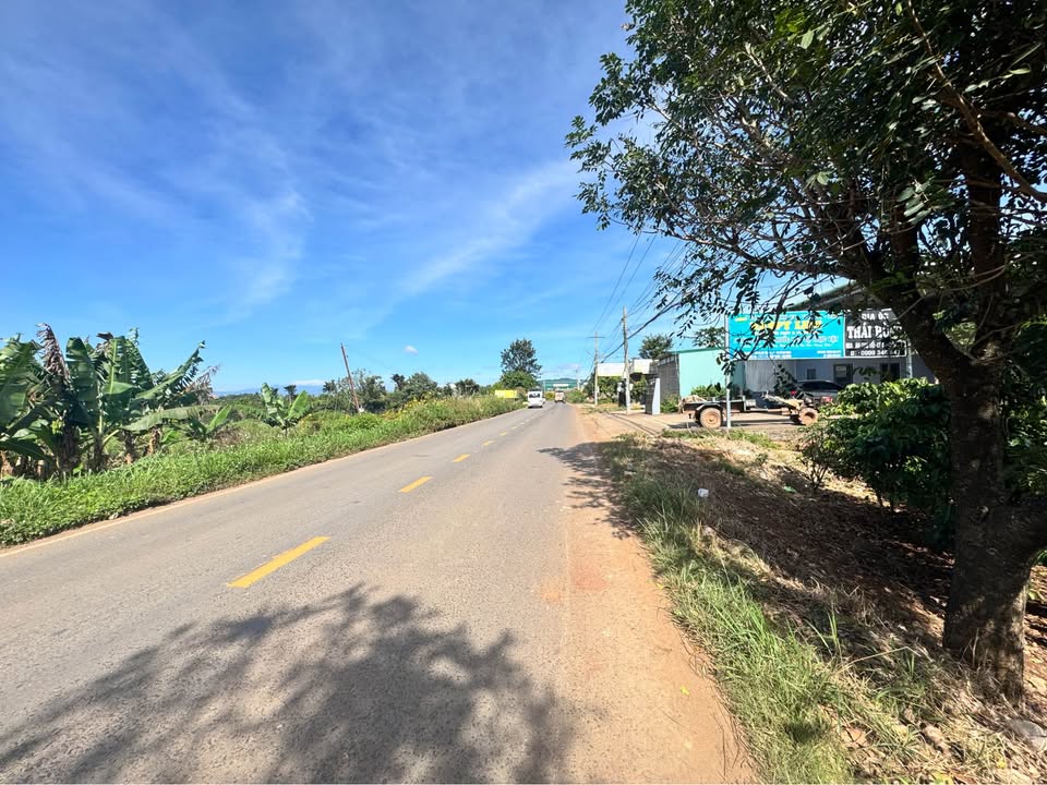 Đất mặt tiền đường DH1, xã Tân Hội 500m² giá 2.2 tỷ - Pháp lý rõ ràng, thích hợp kinh doanh!