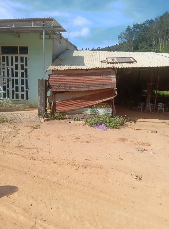 Farm 3ha tại xã Bờ Y, Ngọc Hồi, Kon Tum - Giá chỉ 4 tỷ, đầu tư sinh lời!