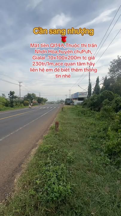 Đất thổ cư 1000m² tại Nhơn Hòa, Chư Pưh, Giá chỉ 230 triệu - Cơ hội đầu tư tốt!