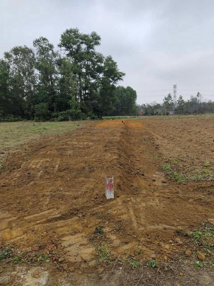 Đất nền Nam Trạch Bố Trạch 395m² giá chỉ 100 triệu - Cơ hội đầu tư tuyệt vời!