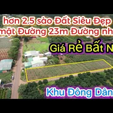 Đất nền Tân Hà Lâm Hà 2500m² giá 3.9 tỷ - Cơ hội đầu tư tuyệt vời!