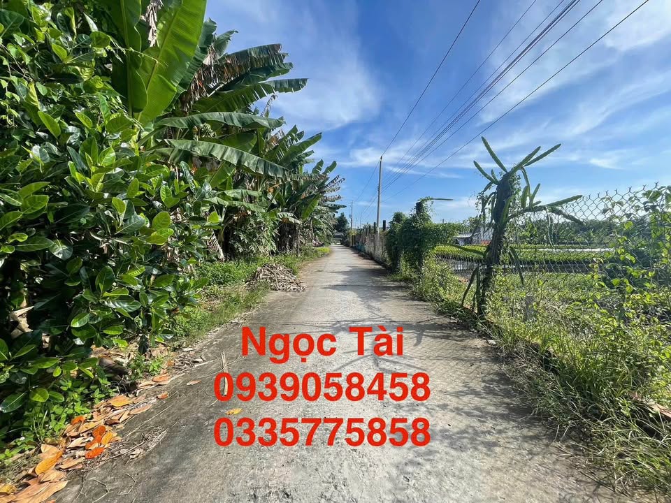 Đất nền chính chủ xã Tân Dương 119.7m² giá 1 tỷ - Lô đất hoàn hảo cho gia đình!