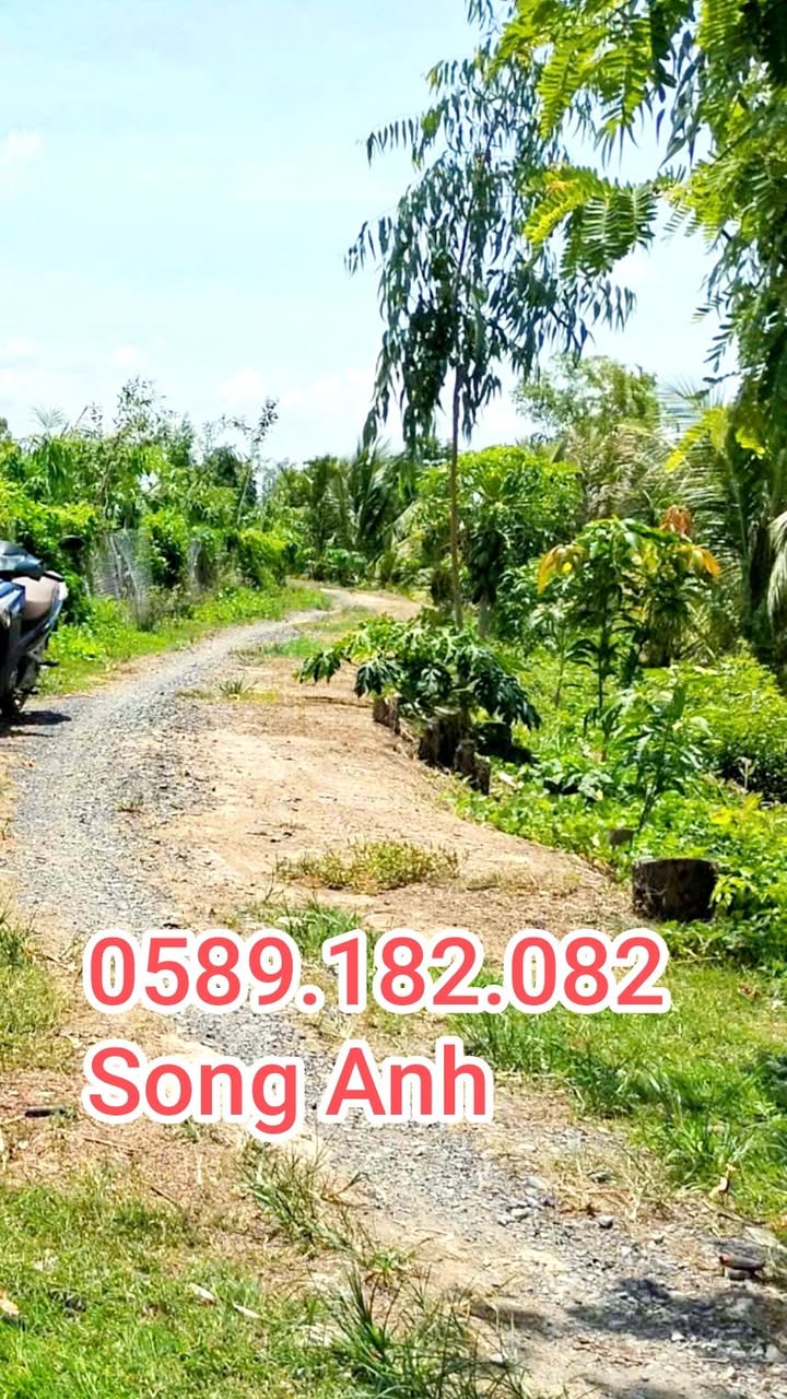 Đất nền Hòa Lộc, Thanh Bình 1000m² giá 240 triệu - Đường ô tô vào tận nơi!