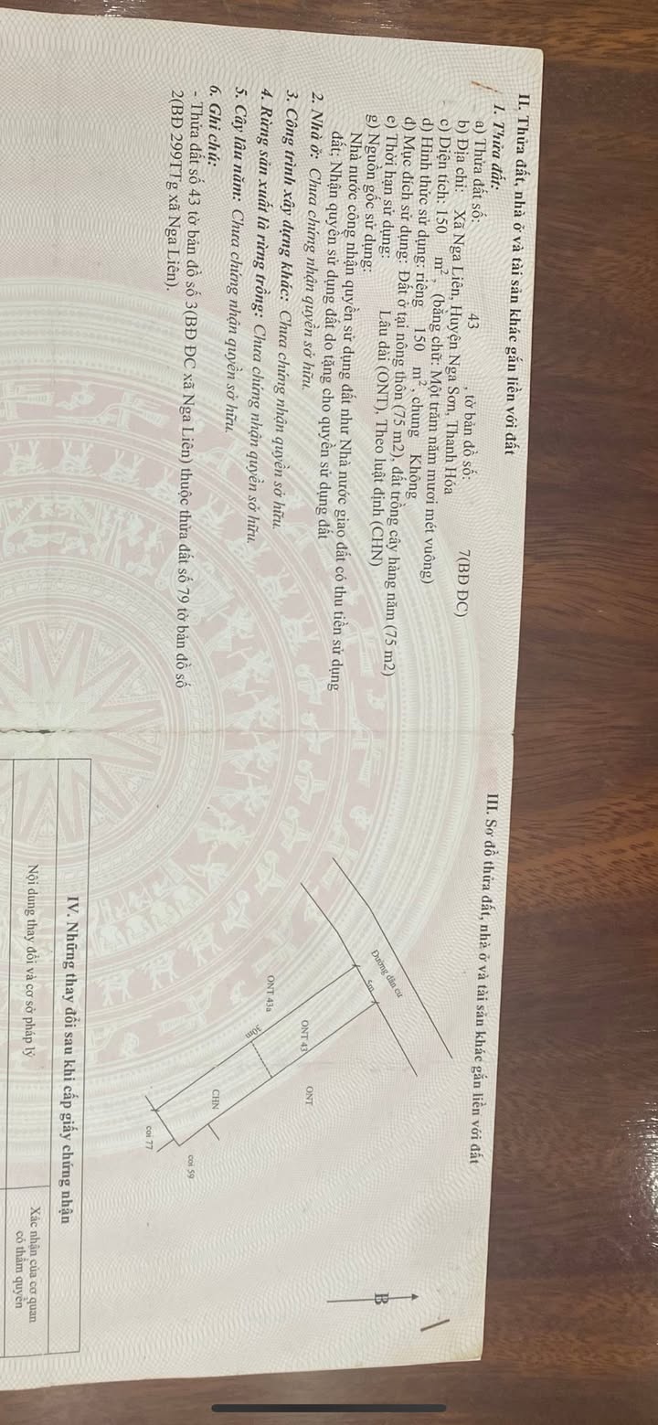 Đất thổ cư xã Nga Liên 150m² giá 600 triệu - Đầu tư lý tưởng!