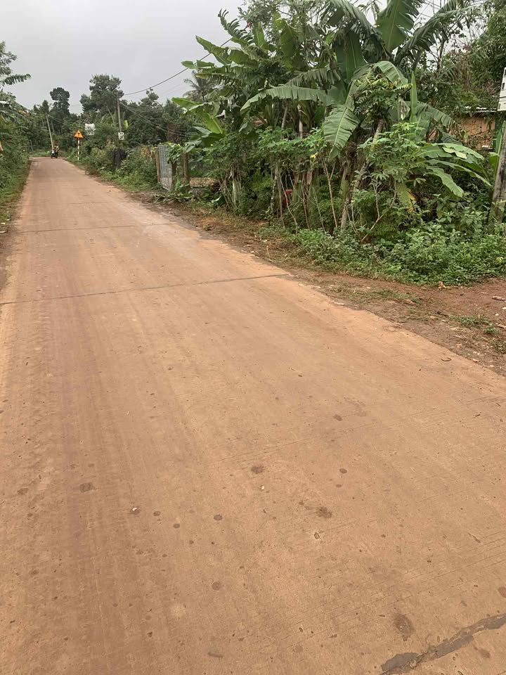 Đất vườn Cư Huê 400m² giá thỏa thuận - Cơ hội đầu tư tuyệt vời!