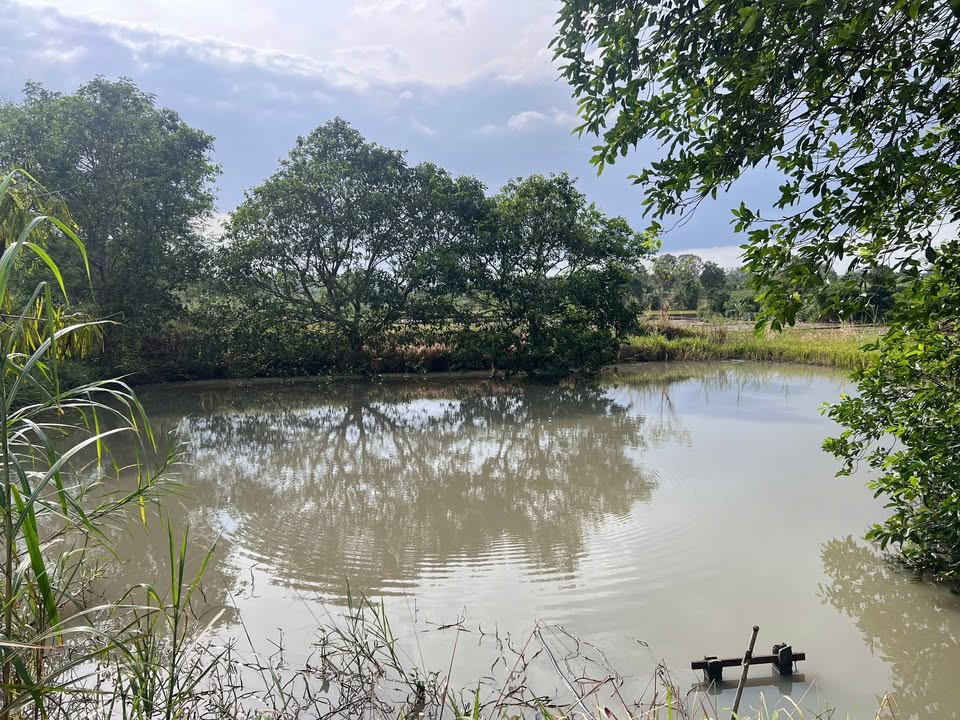 Đất nông nghiệp Cư Ni, Ea Kar 10800m² - Bán gấp, đầy đủ tiện nghi!